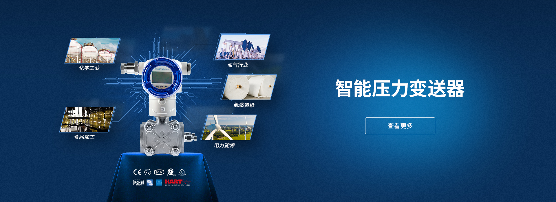 投入式溫度變送器